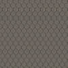 Celeste Graphite